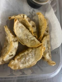 Vegetable Gyoza