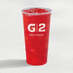 G2 Gatorade® Fruit Punch