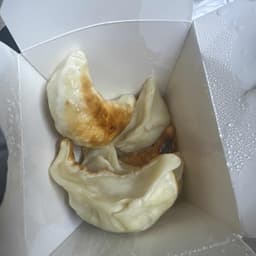 Pot Stickers (6 Pcs)